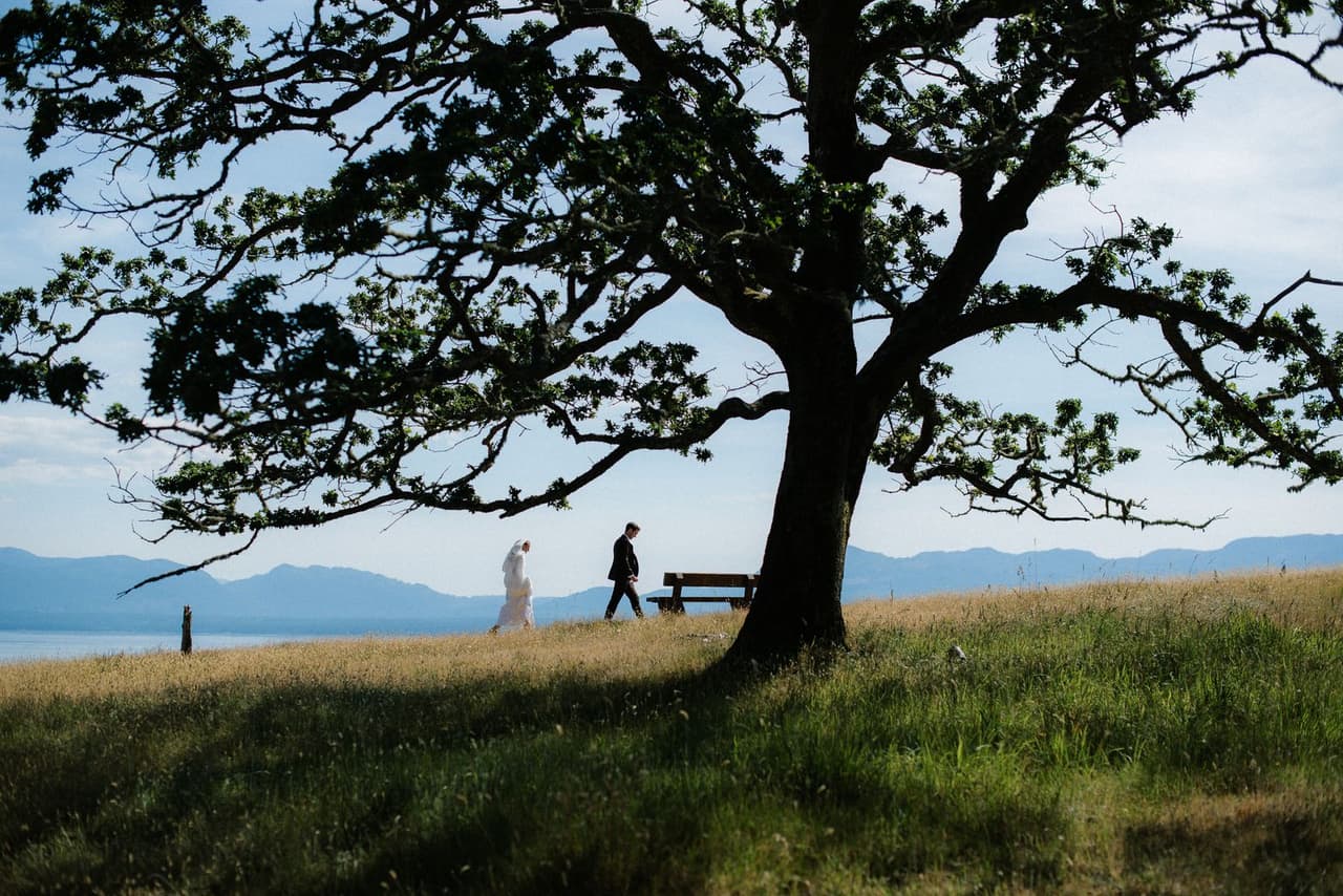 Bride and groom walk toward a wooden bench beneath an oak tree on a grassy hillside at Sea Breeze Lodge