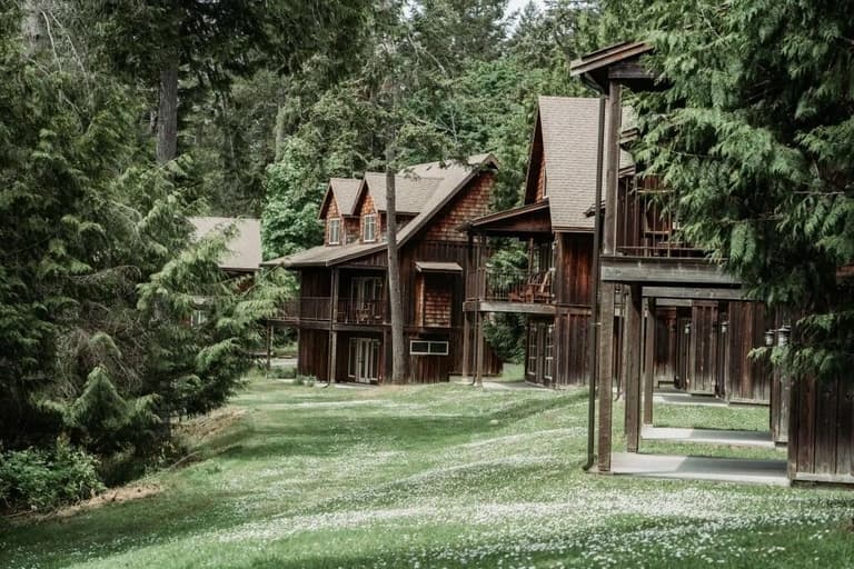 Wooden cottages tucked among tall firs beside a daisy-dotted lawn