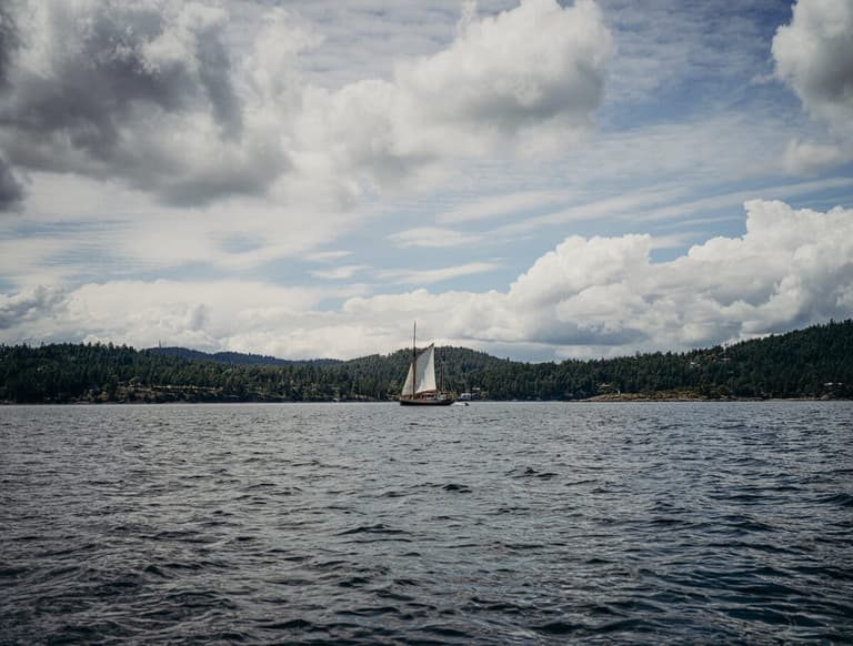 Providence under sail off a forested shoreline beneath billowing clouds