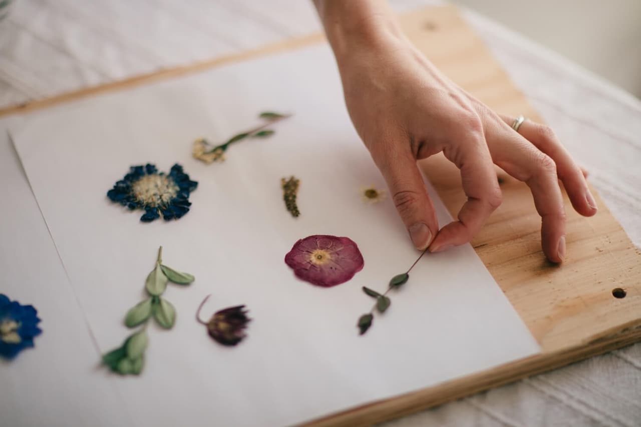 Hand arranging pressed flowers including a deep purple bloom on white paper for Vancouver Island wedding flower preservation