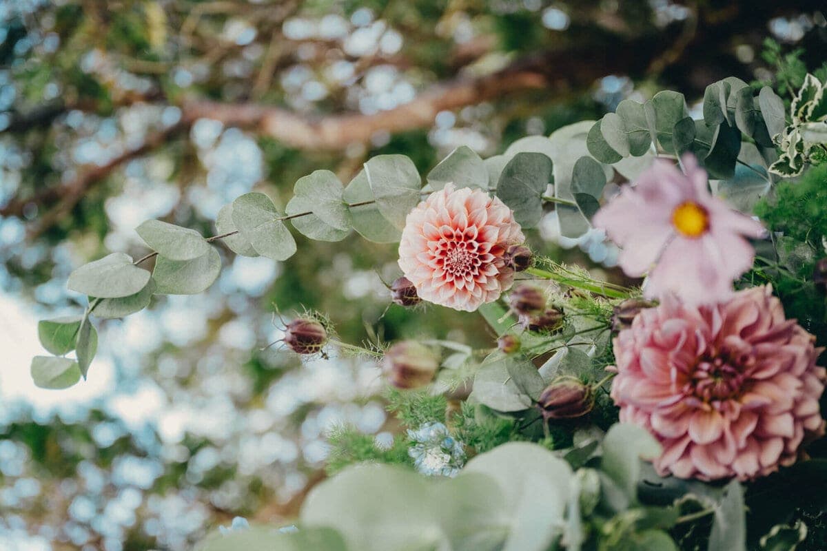 Dahlia, cosmos and eucalyptus garland beneath an old tree