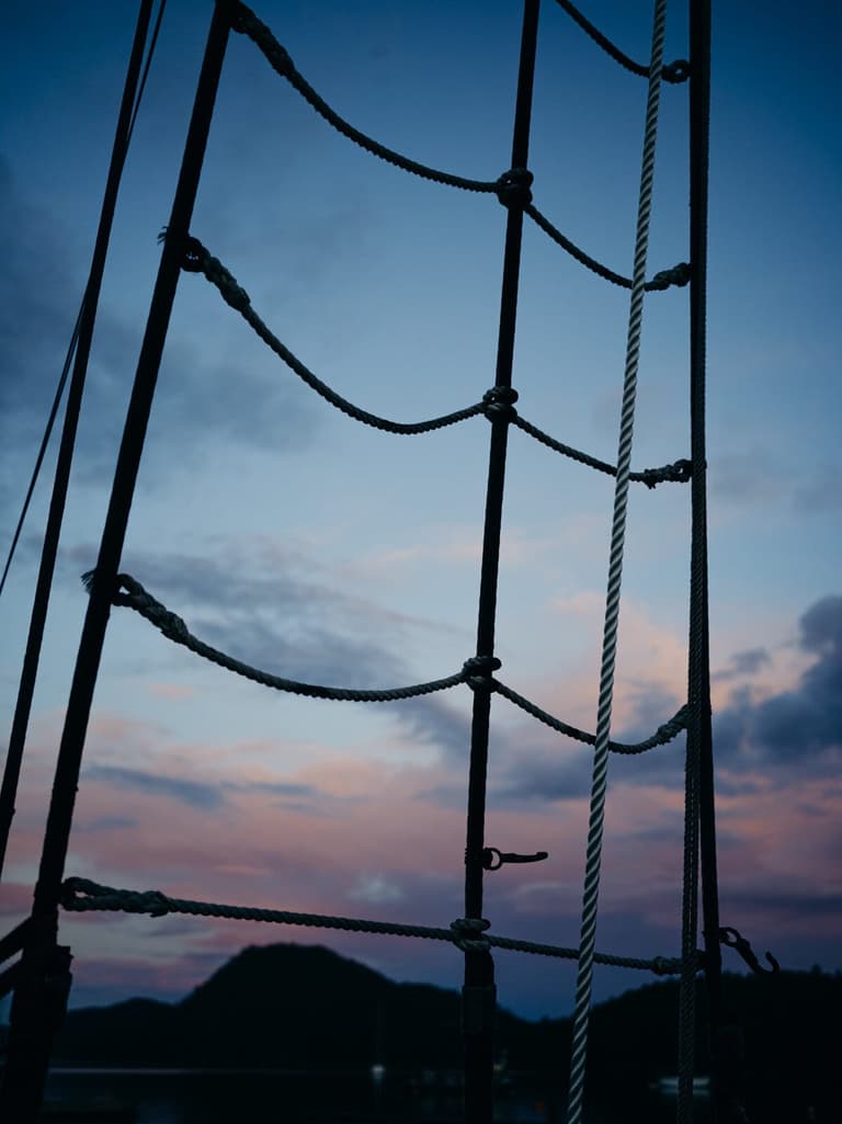Silhouetted rope rigging and wooden post against twilight sky with pink and blue clouds over water
