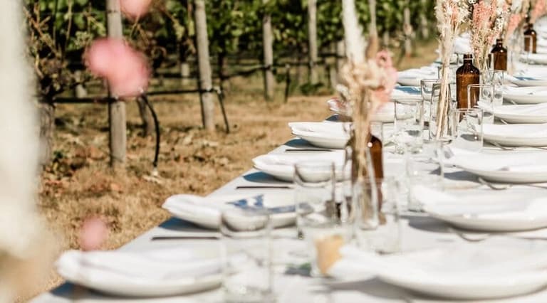 Long banquet table set beside the vines at Hornby Heart Vineyard