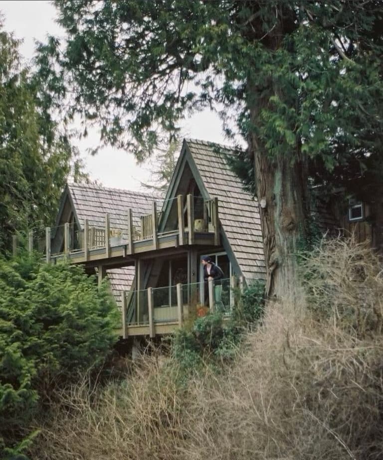 Steep-gabled cabins tucked into the trees at The Shoreline Tofino