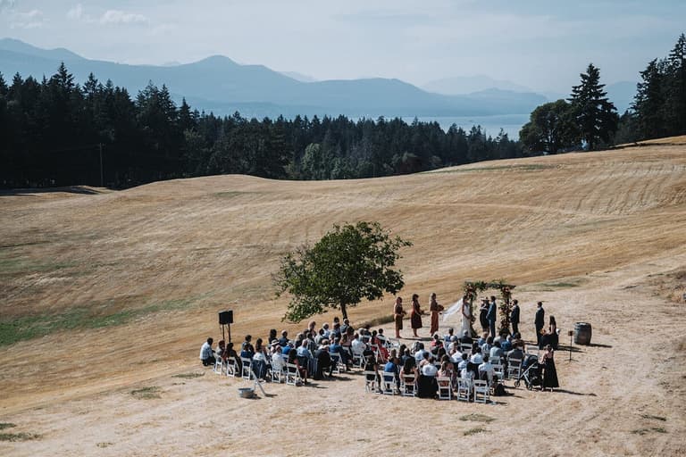 Outdoor wedding ceremony in a golden field with evergreen forest, mountains, and water visible in the distance under hazy afternoon light