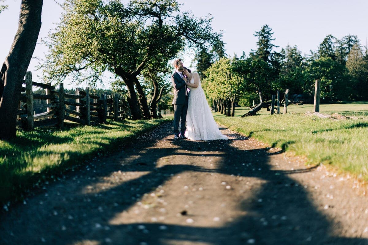 Couple kissing on a tree-lined farm lane in evening light