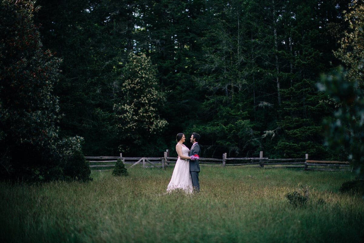 Bride and groom standing in a meadow edged by dark firs