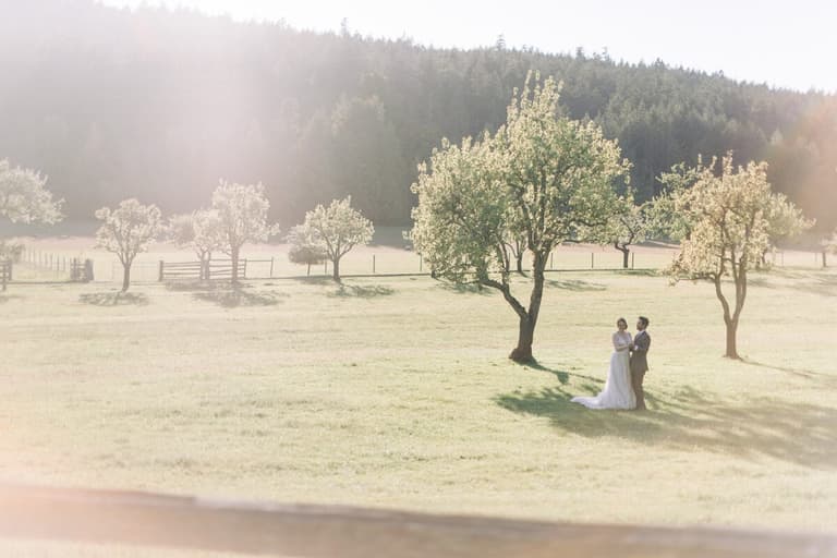 Couple beneath a flowering orchard tree in hazy afternoon light