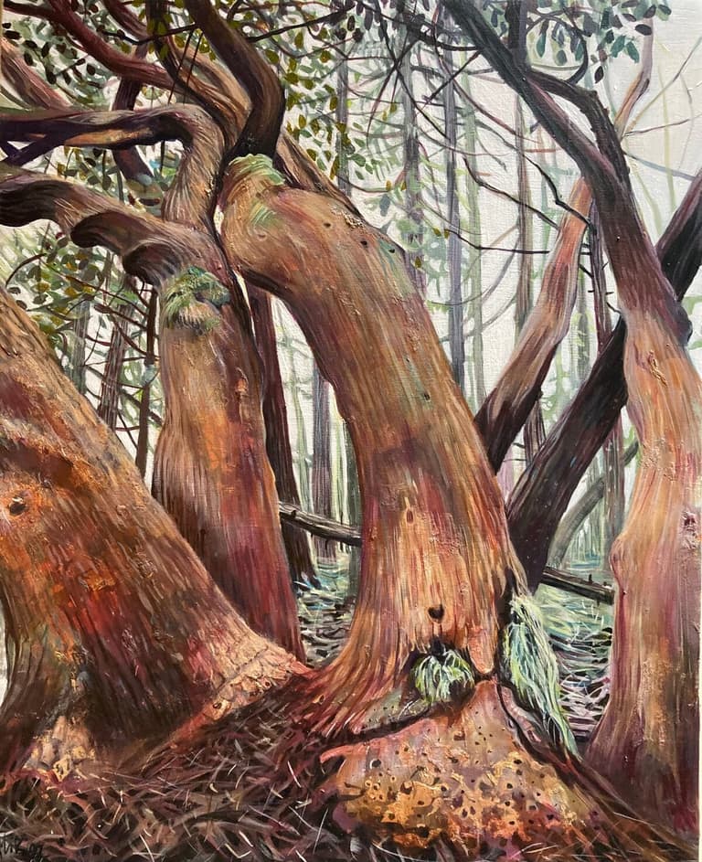 Painting of twisting arbutus trunks in a coastal forest