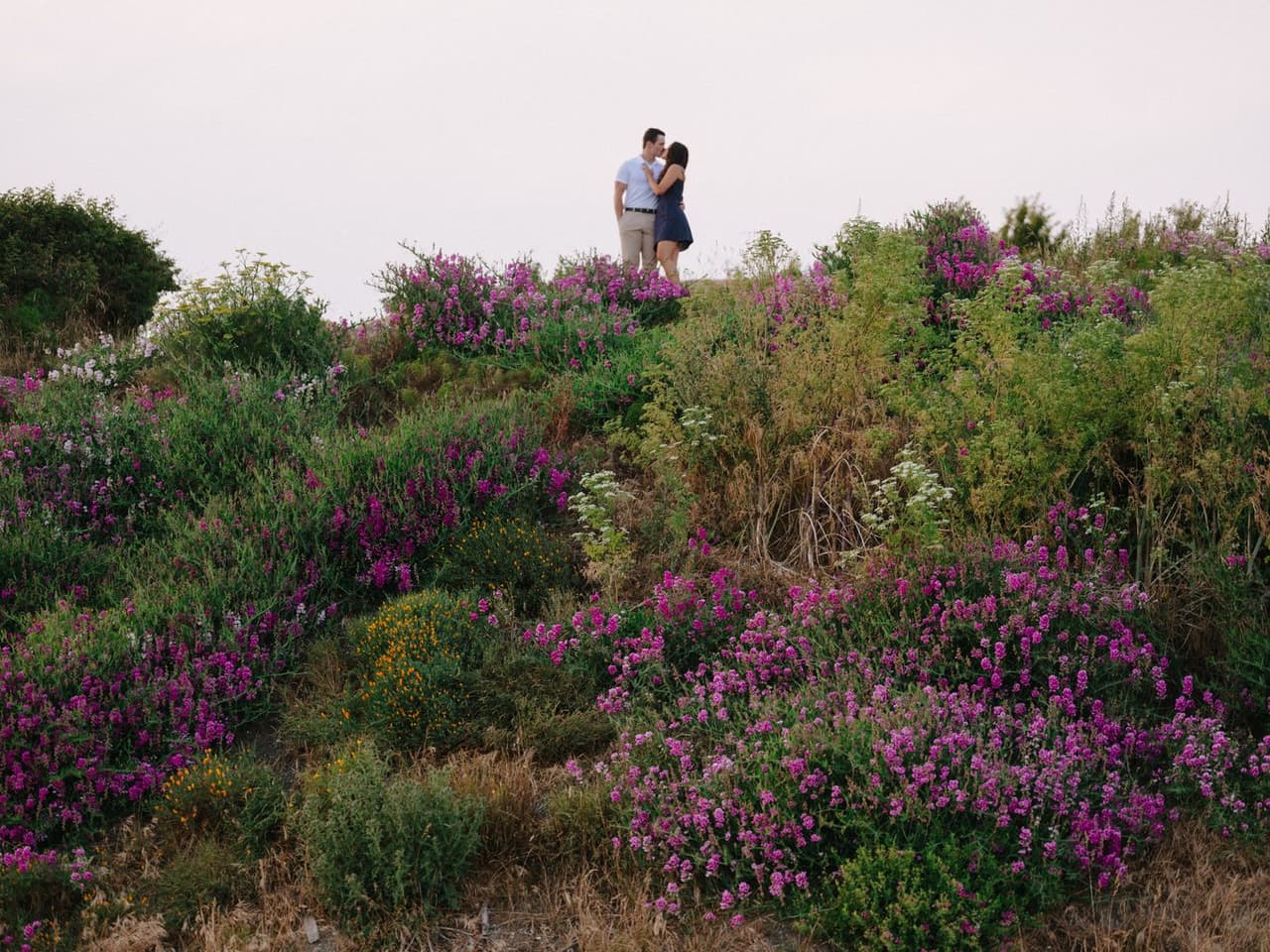 Couple embracing among purple wildflowers at Dallas Beach, golden hour light filtering through overcast sky