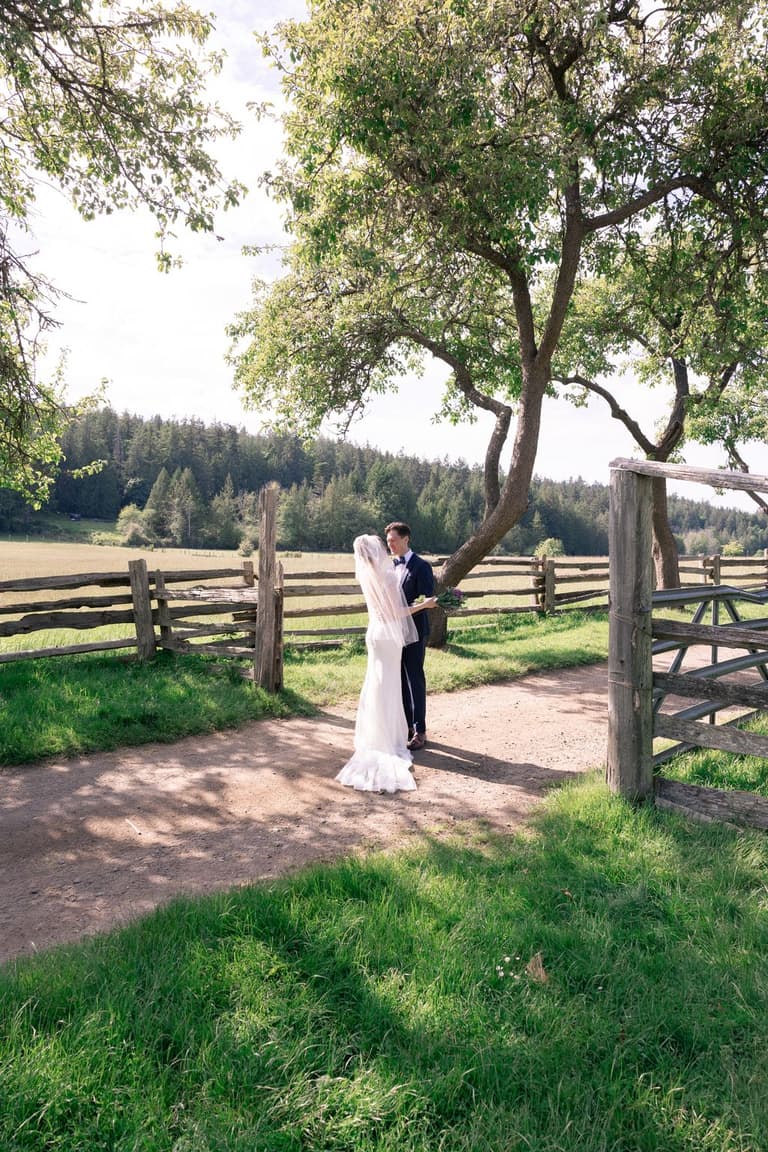 Bride and groom stand beneath a sprawling tree at a wooden fence, evergreen forest visible beyond the pastoral setting