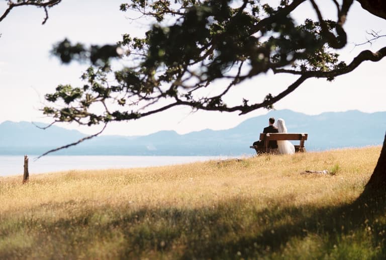 Dry grass field meets calm water under mountains, framed by gnarled tree branch overhead, soft natural light